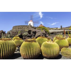 VITALCLASS LANZAROTE SPORTS & WELLNESS RESORT - Alojamientos en COSTA TEGUISE