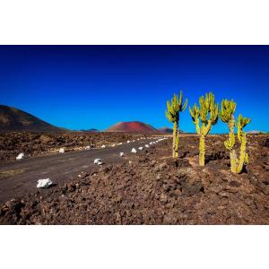 VITALCLASS LANZAROTE SPORTS & WELLNESS RESORT - Alojamientos en COSTA TEGUISE