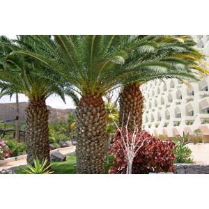 BEATRIZ COSTA & SPA - Alojamientos en COSTA TEGUISE