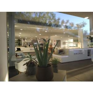 HYDE PARK LANE - Accomodations en PUERTO DEL CARMEN