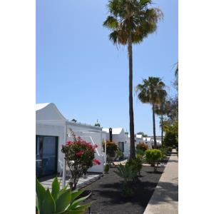 HYDE PARK LANE - Accomodations en PUERTO DEL CARMEN