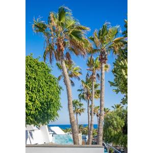 NAUTILUS LANZAROTE - Accomodations en PUERTO DEL CARMEN