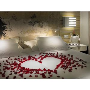 H10 WHITE SUITES (ADULTS ONLY) - Alojamientos en PLAYA BLANCA