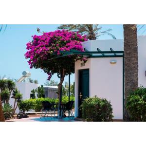 HL CLUB PLAYA BLANCA - Accomodations en PLAYA BLANCA