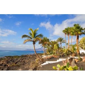 VELAZQUEZ BUNGALOWS - Alojamientos en PUERTO DEL CARMEN
