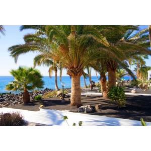 VELAZQUEZ BUNGALOWS - Alojamientos en PUERTO DEL CARMEN