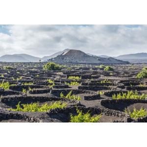 VELAZQUEZ BUNGALOWS - Alojamientos en PUERTO DEL CARMEN