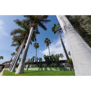 EO MASPALOMAS RESORT - Accomodations en MASPALOMAS