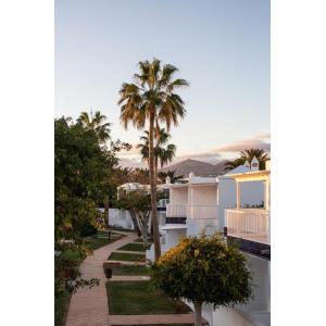 BARCAROLA CLUB - Alojamientos en PUERTO DEL CARMEN