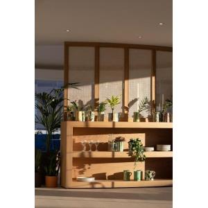 BARCAROLA CLUB - Alojamientos en PUERTO DEL CARMEN