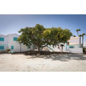 SMY TAHONA FUERTEVENTURA - Accomodations en CALETA DE FUSTE