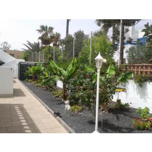 LIVVO ERIKA APARTMENTS (ADULTS ONLY +16) - Alojamientos en CORRALEJO