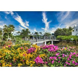 LAS MARISMAS DE CORRALEJO - Alojamientos en CORRALEJO