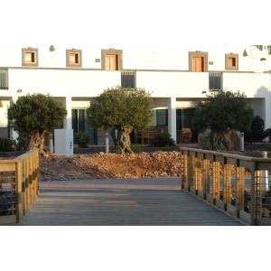 LAS MARISMAS DE CORRALEJO - Alojamientos en CORRALEJO