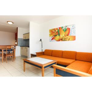 PALM GARDEN - Alojamientos en MORRO JABLE