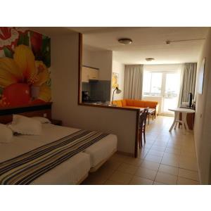 PALM GARDEN - Alojamientos en MORRO JABLE