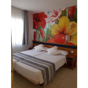 PALM GARDEN - Alojamientos en MORRO JABLE