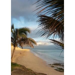 PALM GARDEN - Alojamientos en MORRO JABLE