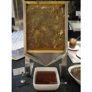 PLAYITAS RESORT - HOTEL - Alojamientos en LAS PLAYITAS