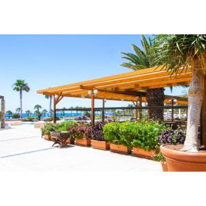 PLAYITAS RESORT - HOTEL - Alojamientos en LAS PLAYITAS