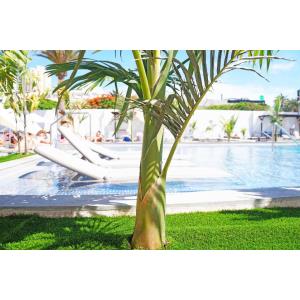 TROYA - Accomodations en PLAYA DE LAS AMERICAS