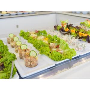 JARDIN DORADO SUITE HOTEL - Accomodations en MASPALOMAS