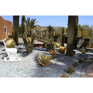 CORONA ROJA - Alojamientos en PLAYA DEL INGLES