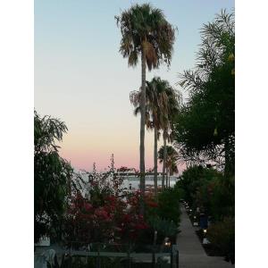 HYDE PARK LANE VILLAS - Accomodations en PUERTO DEL CARMEN