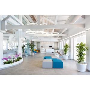 TROPICAL PARK HOTEL - Alojamientos en CALLAO SALVAJE