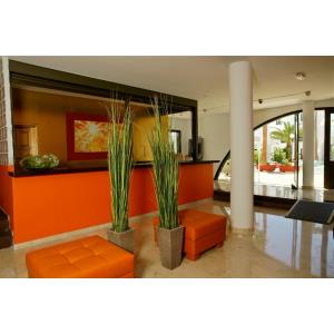 SOL APARTAMENTOS - Alojamientos en COSTA TEGUISE