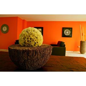 SOL APARTAMENTOS - Alojamientos en COSTA TEGUISE