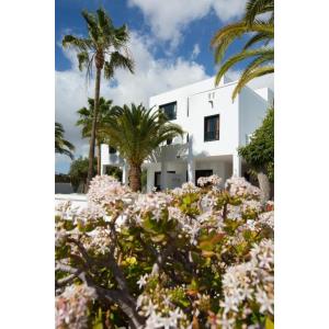 SOL APARTAMENTOS - Alojamientos en COSTA TEGUISE
