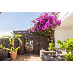 LOS TULIPANES - Alojamientos en PUERTO DEL CARMEN