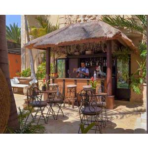 ROYAL GARDEN VILLAS - Accomodations en COSTA ADEJE