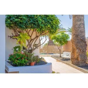 ISLA DE LOBOS (ONLY ADULTS) - Accomodations en PUERTO DEL CARMEN