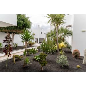 LANZAROTE VILLAGE - Accomodations en PUERTO DEL CARMEN