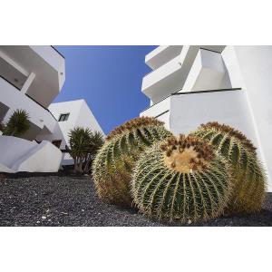 LANZAROTE PARADISE COLINAS - Alojamientos en COSTA TEGUISE