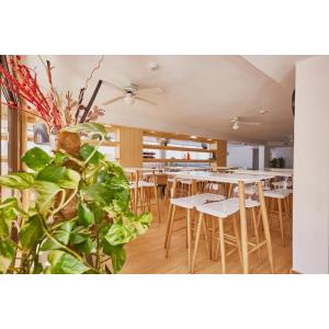 CORAL LOS ALISIOS - FAMILY EXPERIENCE - Alojamientos en LOS CRISTIANOS