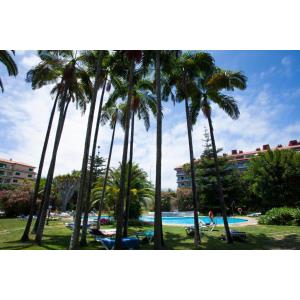 CORAL TEIDE MAR - Accomodations en PUERTO DE LA CRUZ