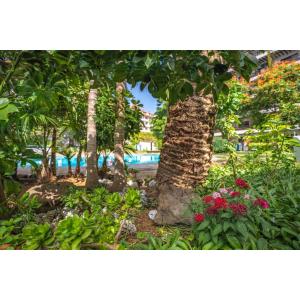 CORAL TEIDE MAR - Accomodations en PUERTO DE LA CRUZ