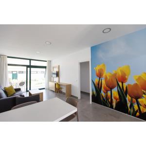 WALHALLA - Alojamientos en PLAYA DEL INGLES