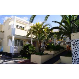 CHECKIN LAURISILVA - Alojamientos en VALLE GRAN REY