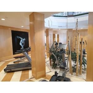 PARQUE SANTIAGO IV - Accomodations en PLAYA DE LAS AMERICAS