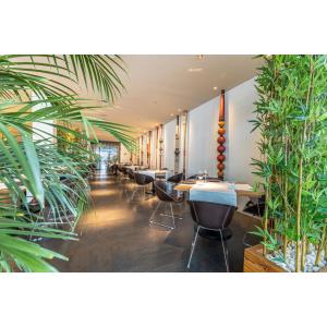 PARQUE SANTIAGO IV - Accomodations en PLAYA DE LAS AMERICAS