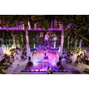 GALA - Alojamientos en PLAYA DE LAS AMERICAS