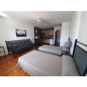 PUEBLO TORVISCAS - Alojamientos en COSTA ADEJE