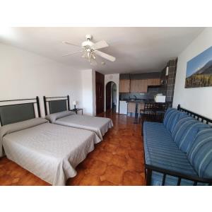 PUEBLO TORVISCAS - Alojamientos en COSTA ADEJE