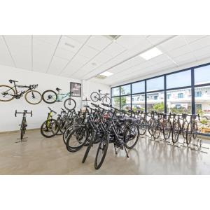 THB TROPICAL ISLAND - Alojamientos en PLAYA BLANCA