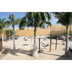 BAOBAB SUITES HOTEL - Alojamientos en COSTA ADEJE