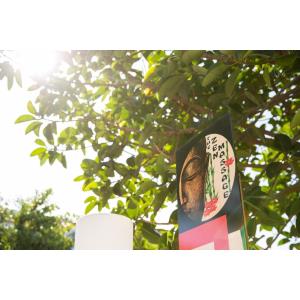 FUENTEPARK - Alojamientos en CORRALEJO